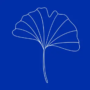 Phytotérapie aromathérapie