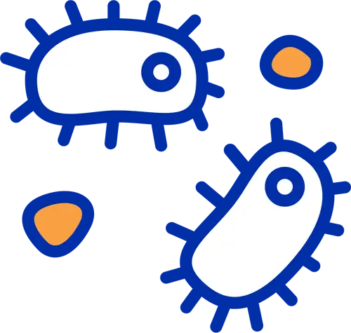 Infections à répétition